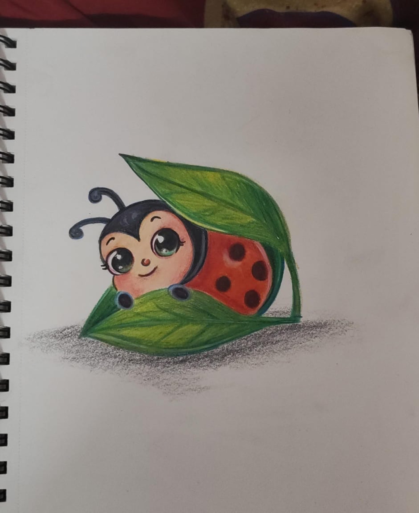 Ladybug illustration artwork made by a Nino learner